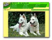 White Swiss Shepherd Dog Nubika