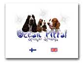 Ocean Pitfal Kennel