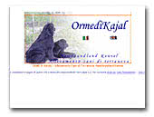 Newfoundland Dogs Orme di Kajal