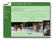 Australian Shepherds kennel Ossequente