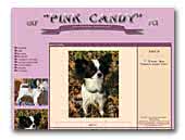 Chihuahuas Pink Candy Kennel