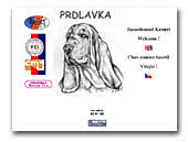 Bassethounds kennel Prdlavka