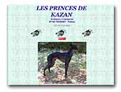 Kennel Princes de Kazan