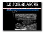 La Joie BlancheGreat Pyrenees