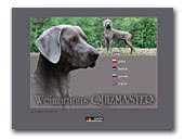 Quizmaster Weimaraner