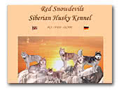 Siberian Husky Kennel FCI Red Snowdevils