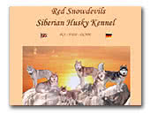 Siberian Husky Kennel FCI Red Snowdevils