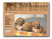 Charra Rhodesian Ridgebacks