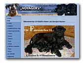 Zwergschnauzer Voyager's