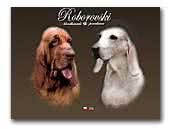 Roborovski Porcelaine and Bloodhound