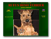 Rufus Irish Terrier