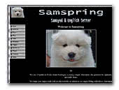 Samspring Samoyed