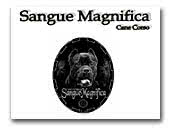 Sangue Magnifica Cane Corso kennel