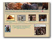 Qi Ming Xing shar-pei kennel