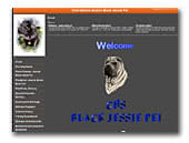 Black Jessie Pei Sharpei kennel
