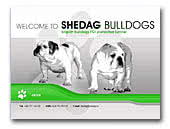 Shedag Bulldogs