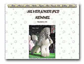Poodles Silver Joker Kennel