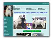 JCH.Simir - Pyrenaen Mountain dog