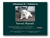 Skylock Golden Retrievers Kennel