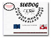Sledog Alaskan Malamutes & Greenland Dogs
