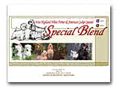 Special Blend Kennel