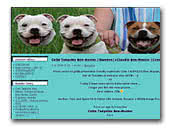 Bee-Master kennel of Staffordshire Bullteriers