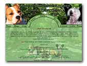 American Staffordshire Terriers Kipairis