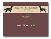 Starz Merilend Kennel Labrador Retrievers & Flat Coated Retrievers