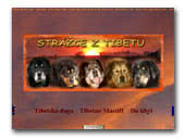 Tibetan MastiffsStrazce z Tibetu