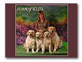 Sunnyfield's Golden Retriever kennel