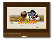 Sylena Labrador Retriever, Boston Terrier, Cavalier King Charles Spaniel