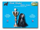 Tibetan Terrier Tashi Bodjul Kennel