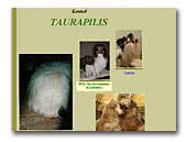 Papillons and Griffons Taurapilis Kennel