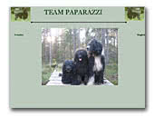 Team Paparazzi Portuguese Water Dog