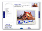 Yorkshire Terriers Blue Teodoro's