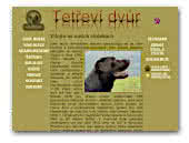 Labrador Retriever Tetrevi dvur Kennel