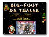 Big-Foot de Thalek Bobtail & Shih Tzu