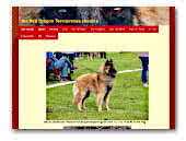 the Red Dragon Kennel Belgian Shepherd Dogs