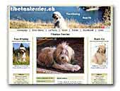Tibetan Terrier Semberia Land Kennel
