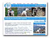 West Highland White Terrier Kennel Tory'S Secret