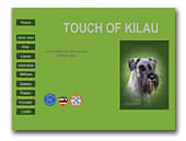 Schnauzers Touch of KiLau