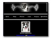 Tribal'Opus American staffordshire kennel