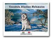 Alaskan Malamute Kennel Unesdala