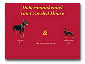 Dobermanns van Crowded House