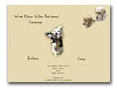 Golden Retriever Kennel Velvet Charm