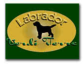 Verdi Terre Labrador's