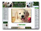 Golden Retrievers von Weitingen Kennel
