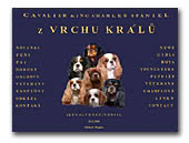 z Vrchu kralu Cavalier King Charles Spaniels