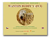 Irish Soft Coated Wheaten Terrier Kennel Wanton Buddy's