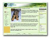 Welsh attitude Welsh Terrier